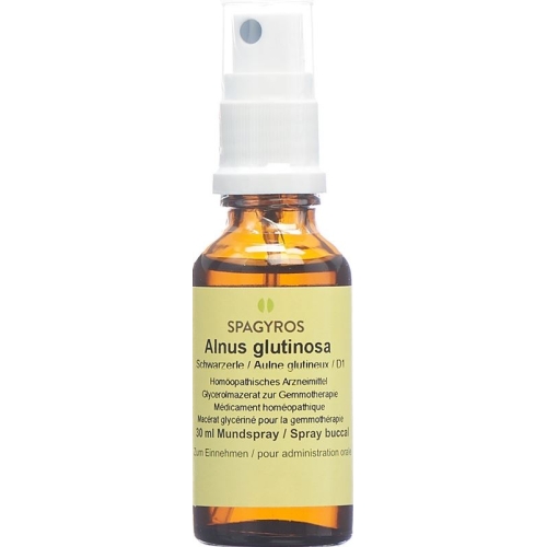 Spagyros Gemmo Alnus Glutinosa Glyc Maz D 1 30ml buy online