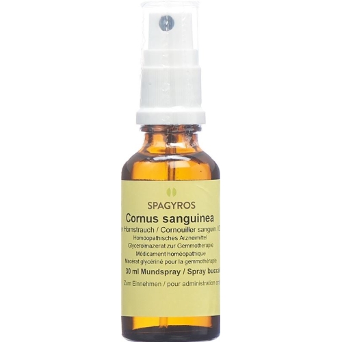 Spagyros Gemmo Cornus Sanguinea Glyc Maz D 1 30ml buy online