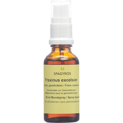 Spagyros Gemmo Fraxinus Excel Glyc Maz D 1 30ml buy online