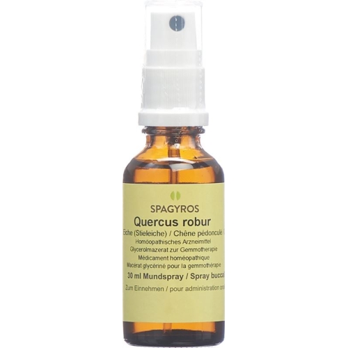 Spagyros Gemmo Quercus Robur Glyc Maz D 1 30ml buy online