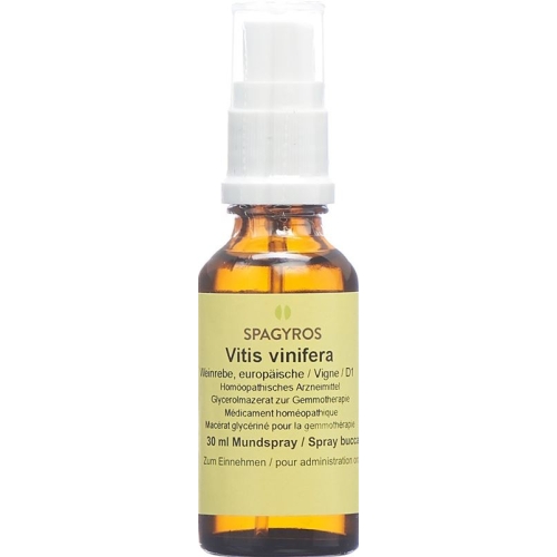 Spagyros Gemmo Vitis Vinifera Glyc Maz D 1 30ml buy online