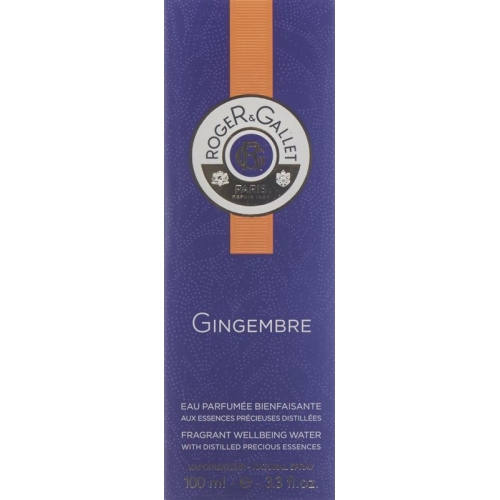 Roger Gallet Gingembre Parfüm 100ml buy online