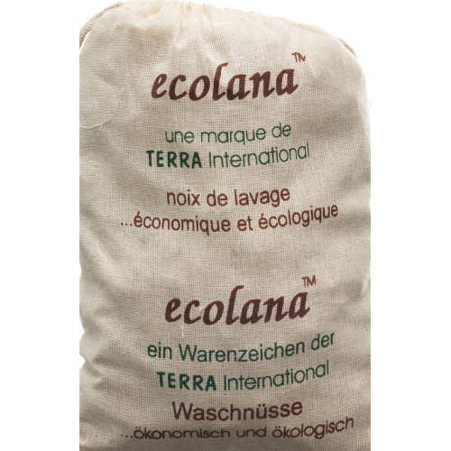 Willemin Waschnuesse 1kg buy online