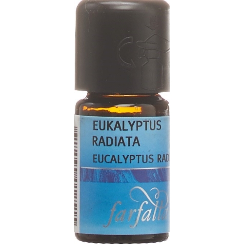 Farfalla Eukalyptus Radiata Ätherisches Öl Bio 5ml buy online