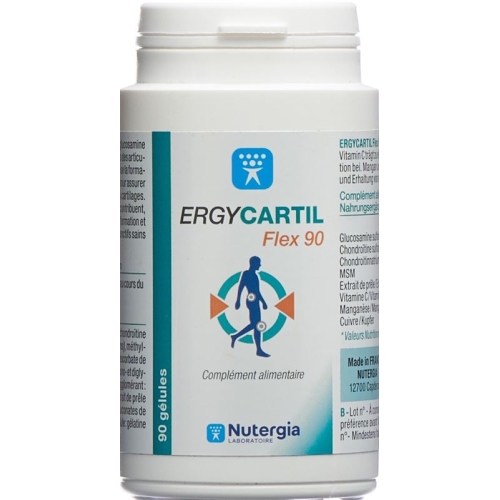 Nutergia Ergycartil Plus Gelules 90 Stück buy online