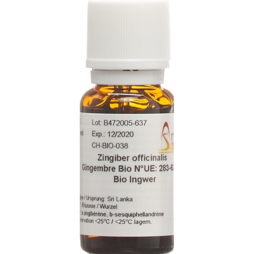 Aromasan Ingwer Ätherisches Öl 15ml buy online