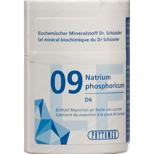 Phytomed Schüssler Nr. 9 Tabletten D 6 Lactosefrei 200 Stück buy online