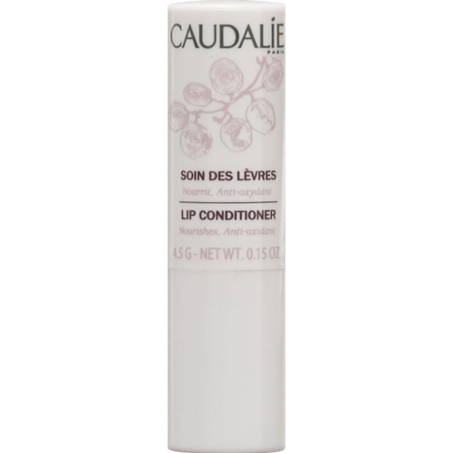 Caudalie Pulpe Vitaminée Soin Des Levres 4g buy online