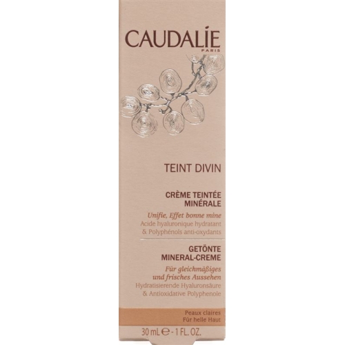 Caudalie Solaires Teint Divin Creme Teint Clair 30ml buy online