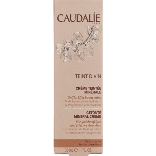 Caudalie Solaires Teint Divin Creme Teint Mates 30ml buy online