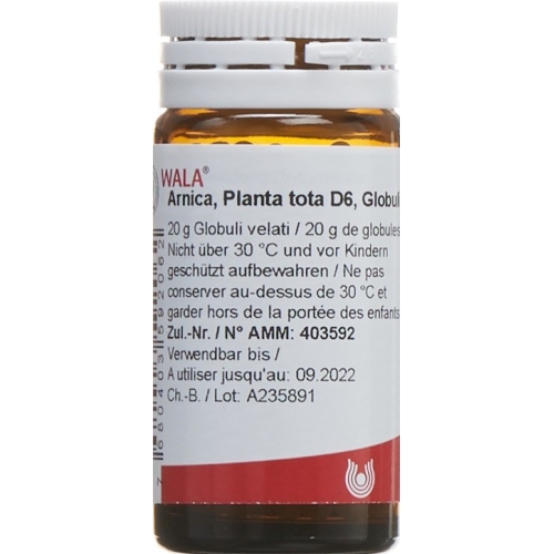 Wala Arnica E Planta Tota Globuli D 6 Flasche 20g buy online