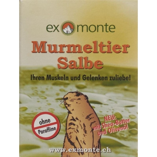 Exmonte Murmeltier Salbe Topf 100ml buy online