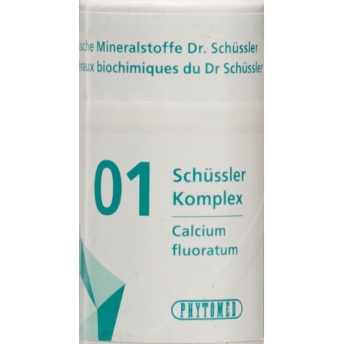 Phytomed Schüssler Komplex No 1 Tabletten Dose 300 Stück buy online