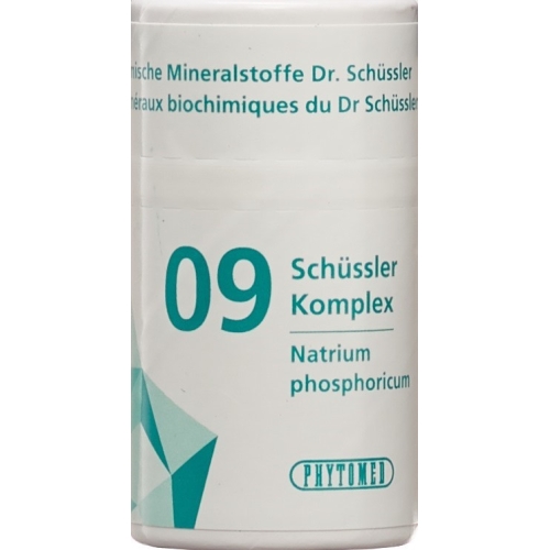 Phytomed Schüssler Komplex No 9 Tabletten Dose 300 Stück buy online