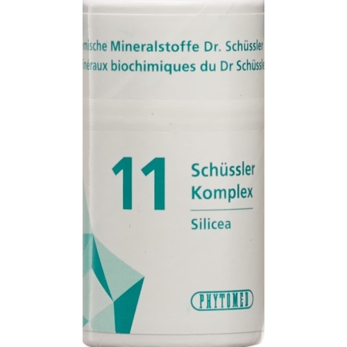 Phytomed Schüssler Komplex No 11 Tabletten Dose 300 Stück buy online