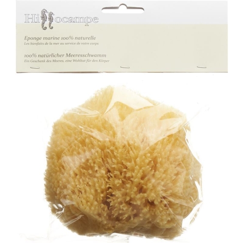 Hippocampal Natural Sponge 338 buy online