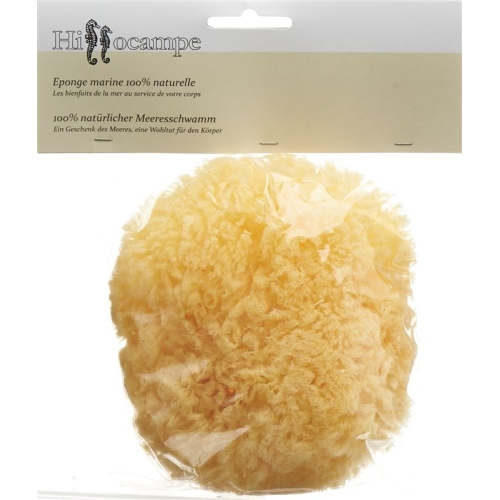 Hippocampal Natural Sponge 336 buy online