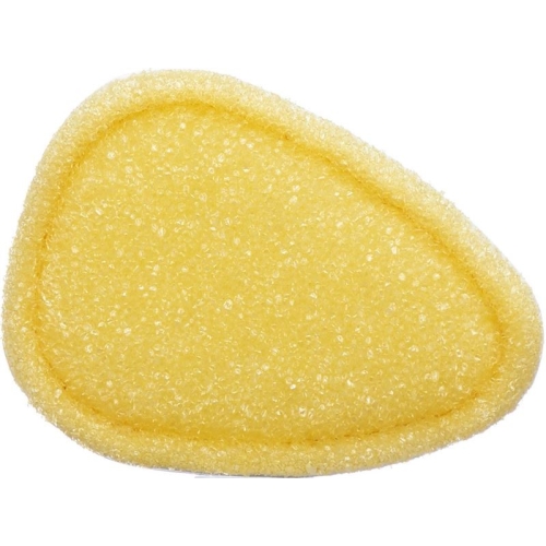 Sherteme Backhelp Exfoliating Sponge buy online