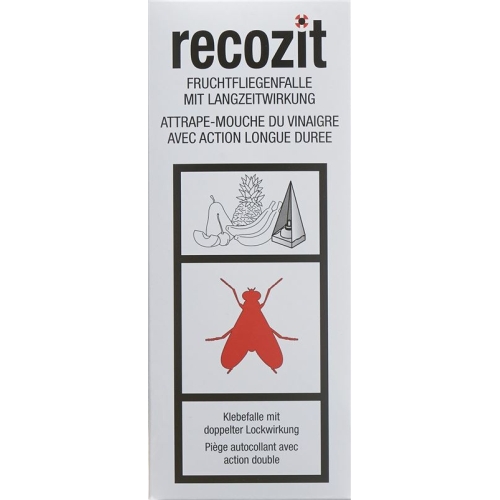 Recozit fruit fly trap buy online