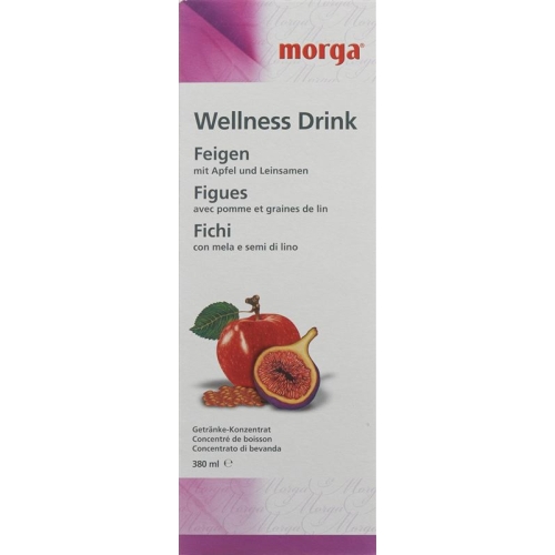 Morga Wellness Drink Feigen 380ml buy online