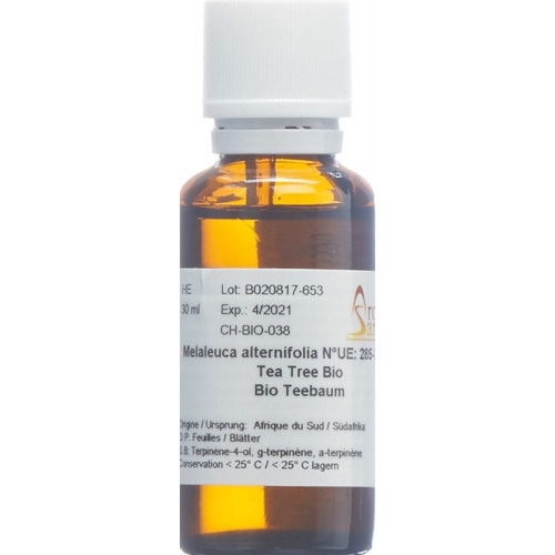 Aromasan Tea Tree Ätherisches Öl 30ml buy online