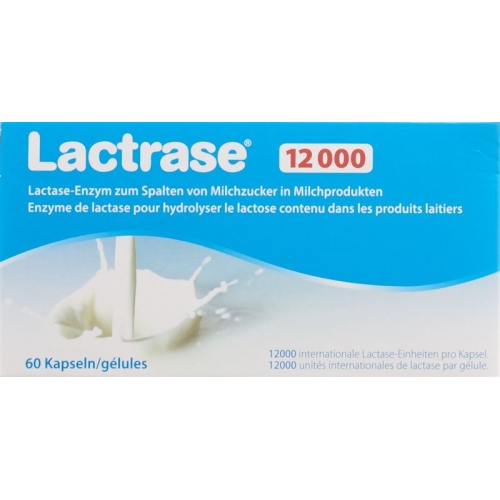 Lactrase Kapseln 12000 60 Stück buy online