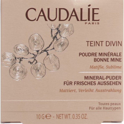 Caudalie Solaires Poudre Divine 10g buy online