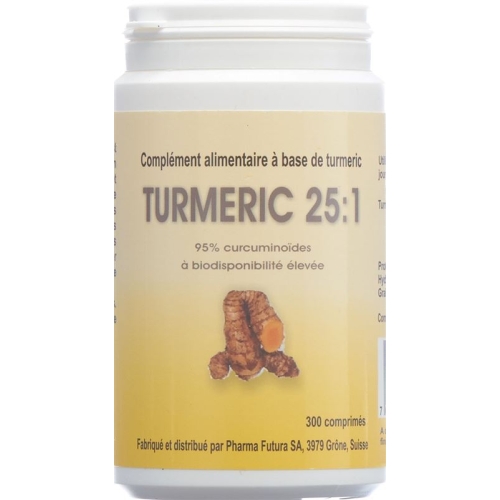 Turmeric 25:1 Tabletten 250mg 300 Stück buy online