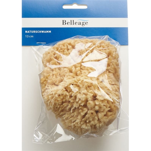 Belleage natural sponge 13cm buy online