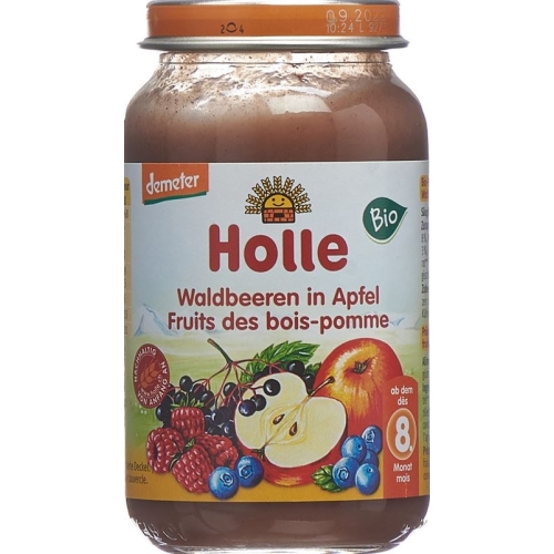 Holle Forest Berries in Apple from the 8th month Organic 220g buy online