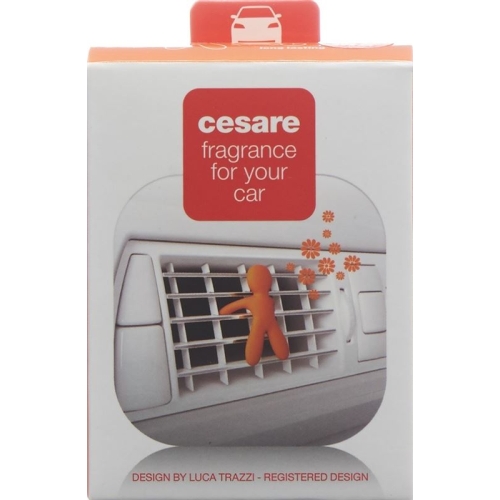 Joy Duftmaennchen Auto Cesare Orange Energy buy online