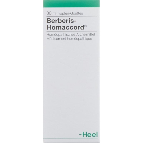 Homaccord Berberis Tropfen 30ml buy online