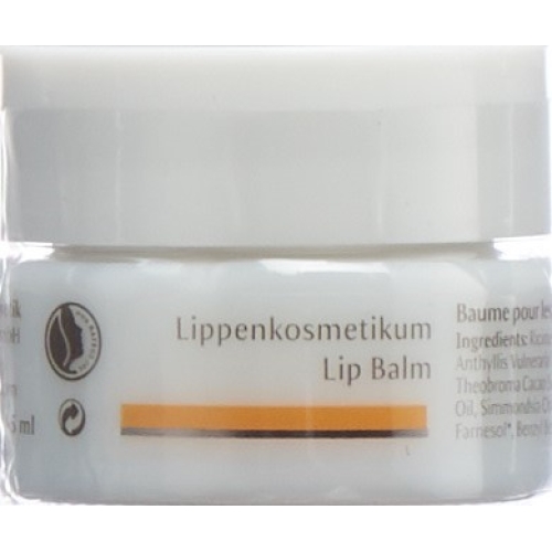 Dr Hauschka lip cosmetic 4.5 ml buy online