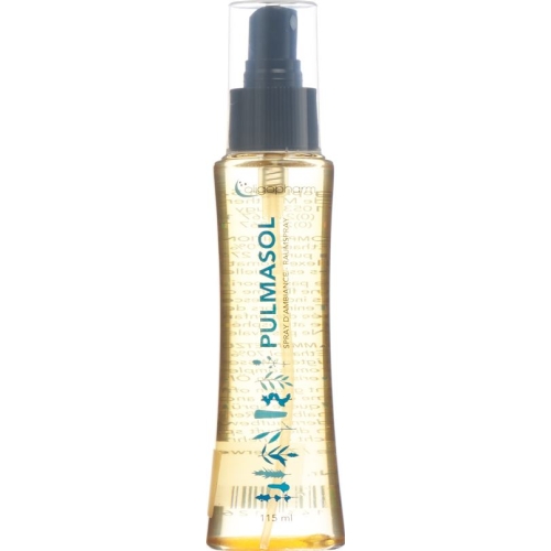 Pulmasol Spray 115 ml buy online