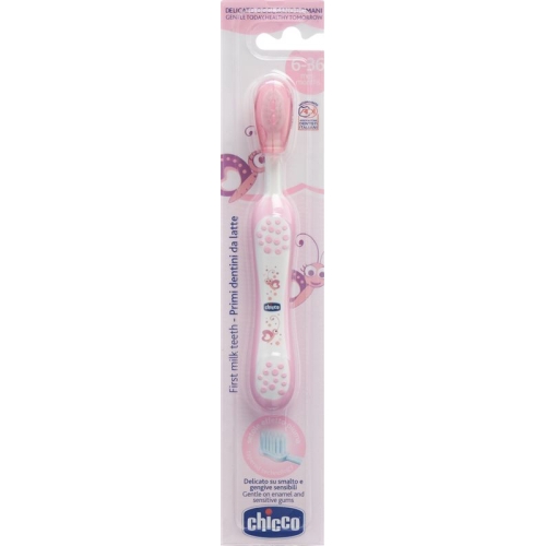 Chicco toothbrush pink 6m + buy online