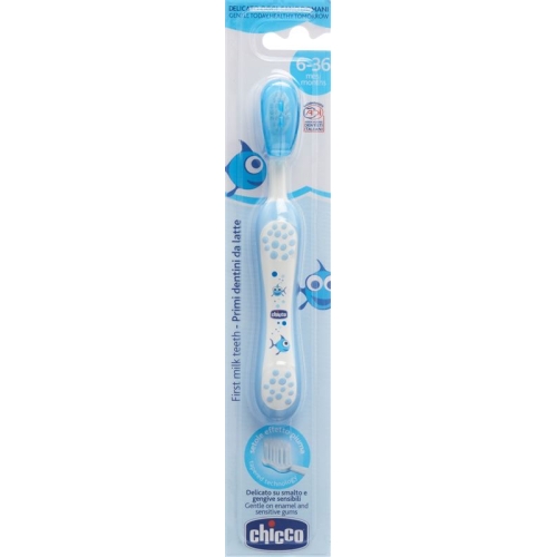 Chicco toothbrush light blue 6m + buy online