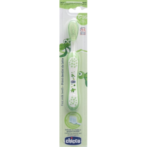 Chicco toothbrush green 6m + buy online