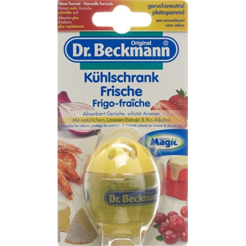 Dr Beckmann refrigerator fresh lime 40 g buy online