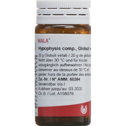 Wala hypophysis comp. Glob 20 g buy online