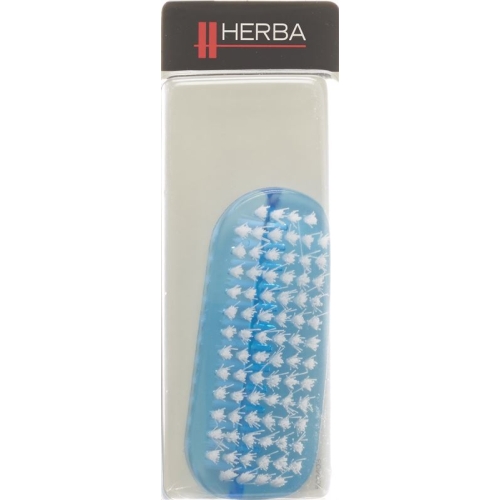 Herba nail brush blue clear frosted buy online