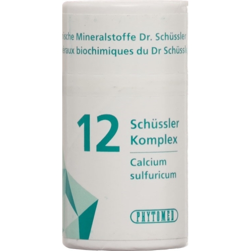 PHYTOMED Schüssler complex NR12 tbl Ds 300 pcs buy online