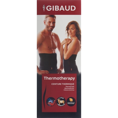 GIBAUD Sashes Thermo M 25cm anthracite buy online