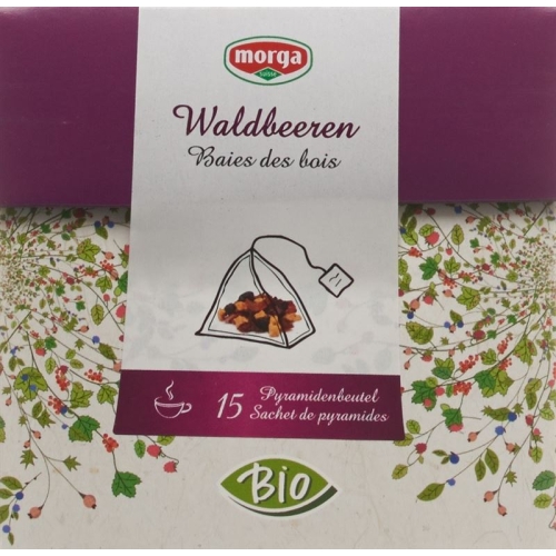 Morga berries fruit pyramid teabags Bio 15 pcs buy online