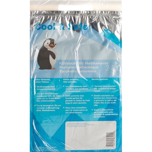 COOL & SAFE cooling bag 10 pcs buy online