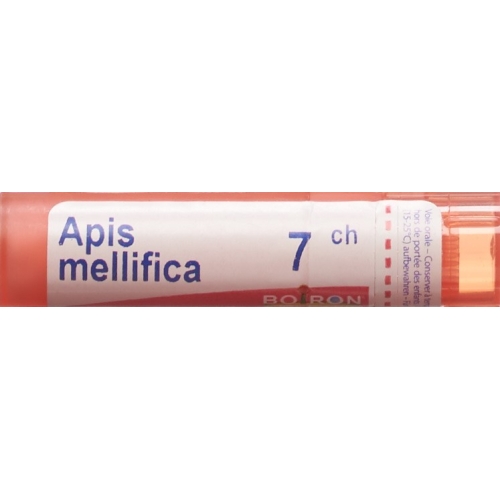 Apis mellifera Boiron Gran C 7 4 g buy online