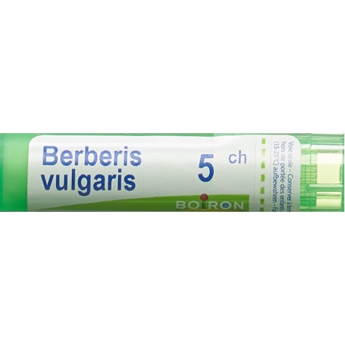 Boiron Berberis vulgaris Gran C5 4g buy online