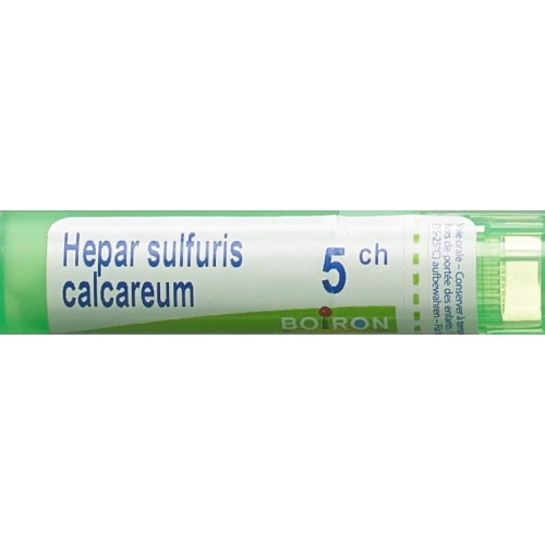 Boiron Hepar calcareum Gran C 5 4 g buy online