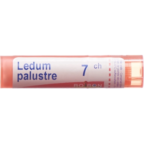 Ledum palustre Boiron Gran C 7 4 g buy online