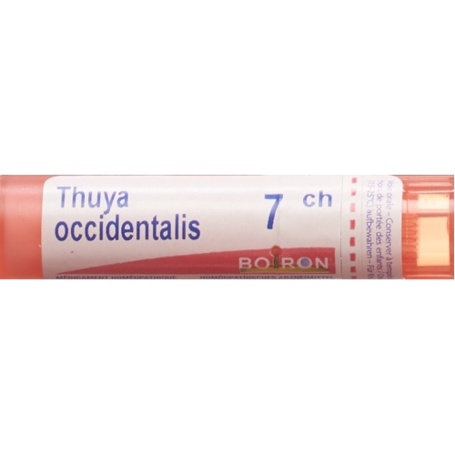 Boiron Thuya occidentalis Gran C 7 4g buy online