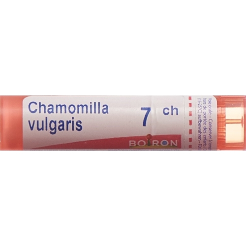 Boiron Chamomilla vulgaris Gran C 7 4g buy online